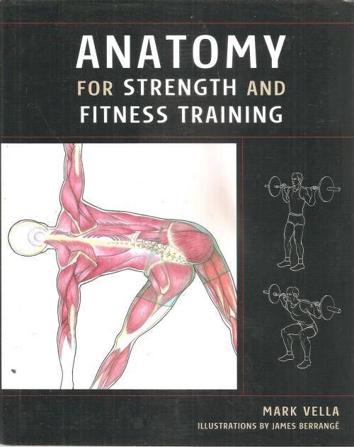 Anatomy for Strength and Fitness Training  By: Marl Vela
