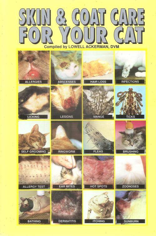 Skin and Coat Care for Your Cat By: Lowell Ackerman DVM