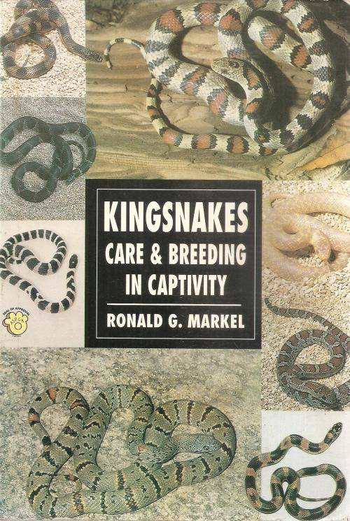 Kingsnakes Care & Breeding in Captivity  By: Ronald G. Markel
