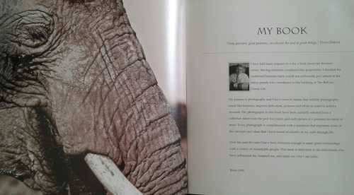 My Book by Brian Joffe