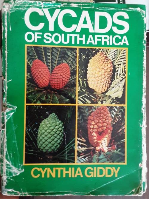 Cycads of South Africa by Cynthia Giddy
