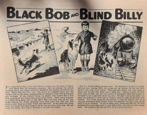 Black Bob The Dandy Wonder Dog published circa 1950`s