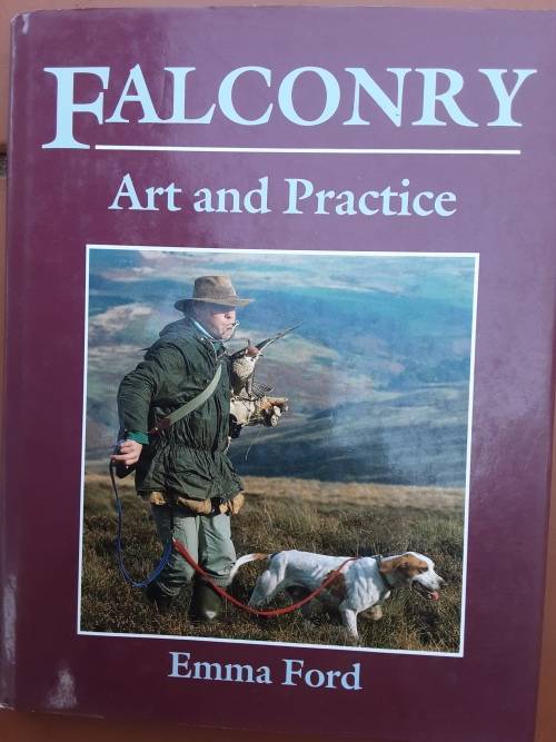 Falconry, Art and Practice by Emma Ford