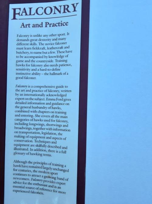 Falconry, Art and Practice by Emma Ford