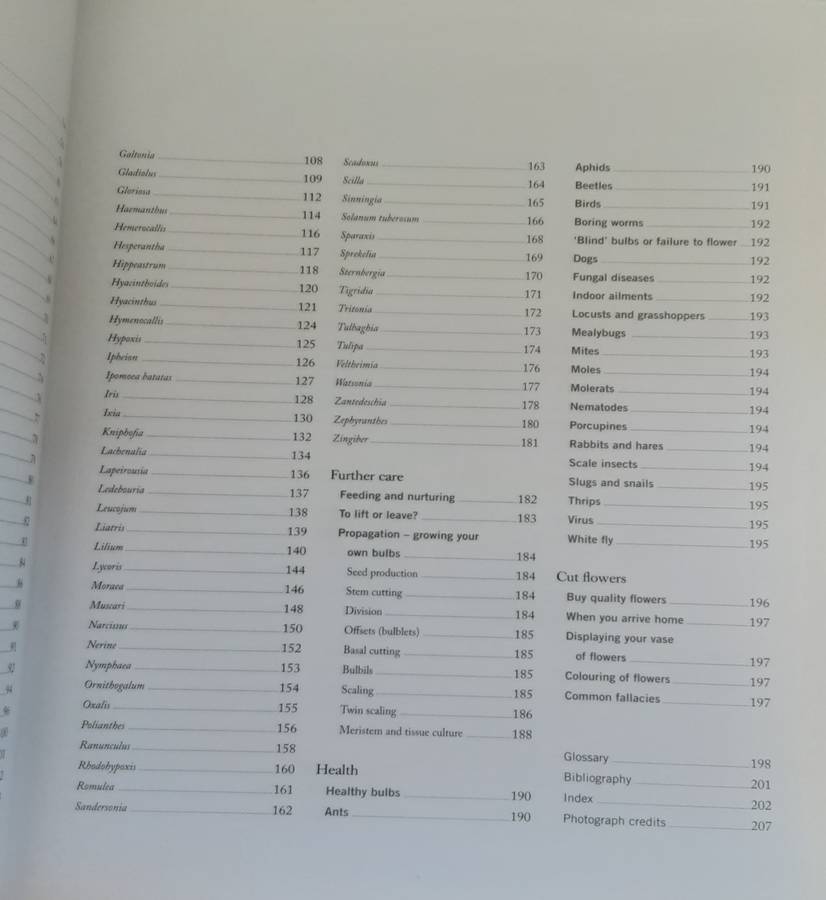 The Bulb Book, A South African Gardeners Guide by Charles Barnhoorn