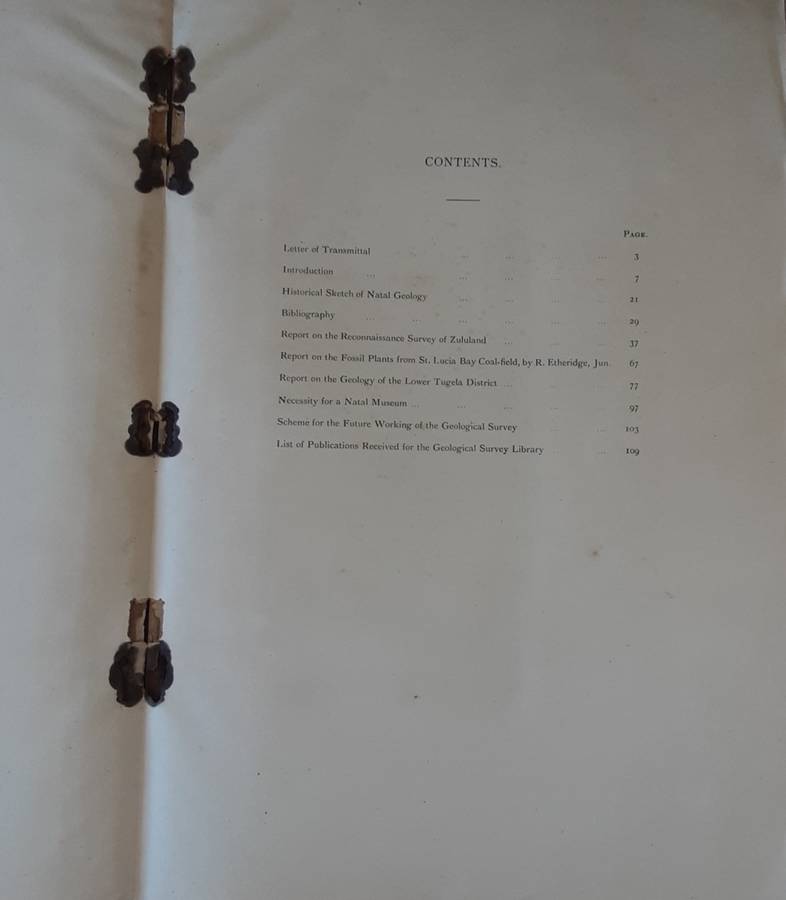 First Report of the Geological Survey of Natal & Zululand by W Anderson 1902