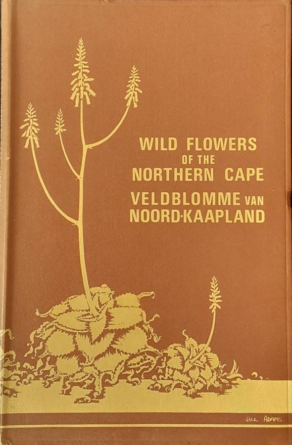 Wild Flowers of the Northern Cape By Jill Adams