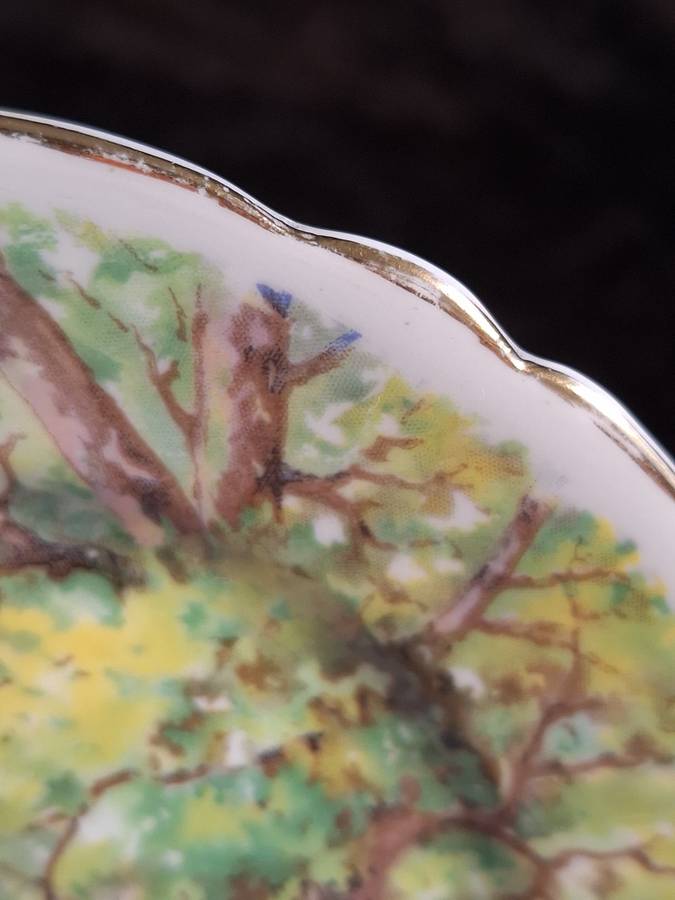 Shelley - Woodlands Small Plate - 13348 - A.