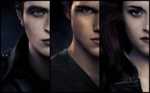 Twilight Saga Bundle (5 books & 7 DVD's)