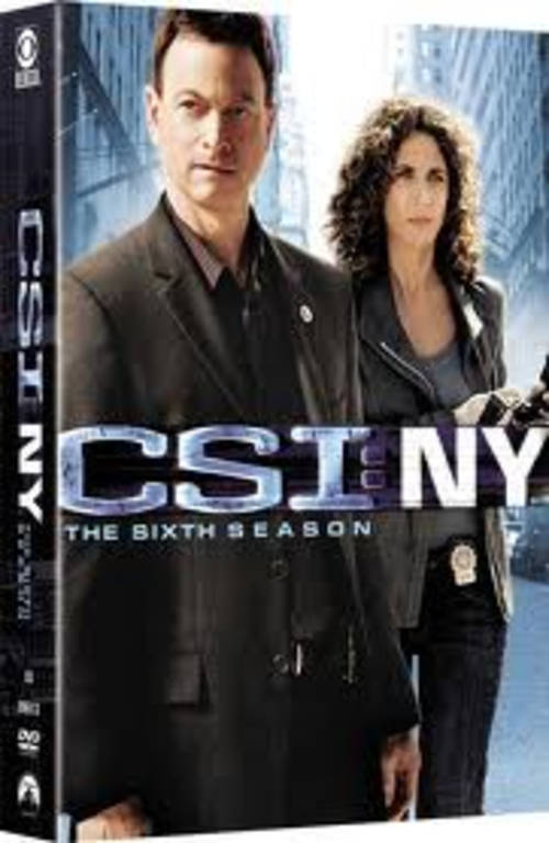 CSI NY Complete Season 6