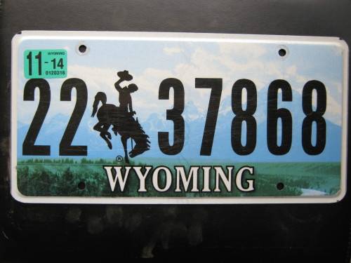Original American license plate, must have for your bar or mancave