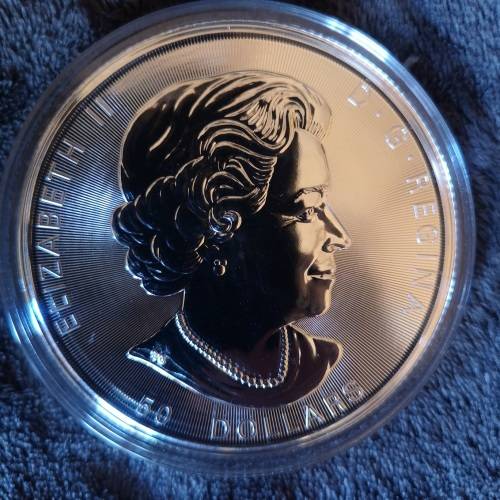 10 oz Fine Silver Bullion (9999) Canadian 50 Dollar Round 2018