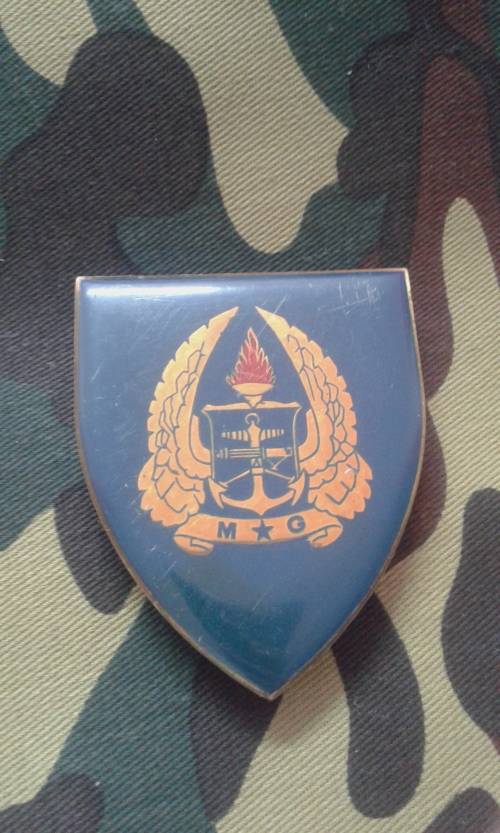 SADF ARMY GYMNASIUM SHOULDER FLASH