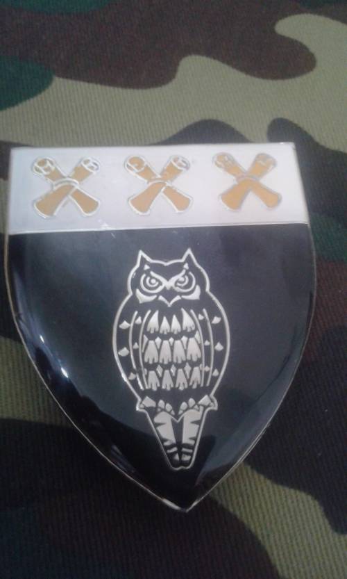 SADF MILITARY INTELLIGENCE CIVIL DEFENSE UNIT SHOULDER FLASH