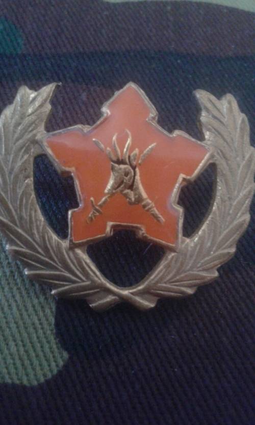 SADF 5-YEAR VOLUNTARY SERVICE BREAST BADGE