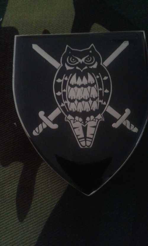 SADF MILITARY INTELLIGENCE HQ SHOULDER FLASH