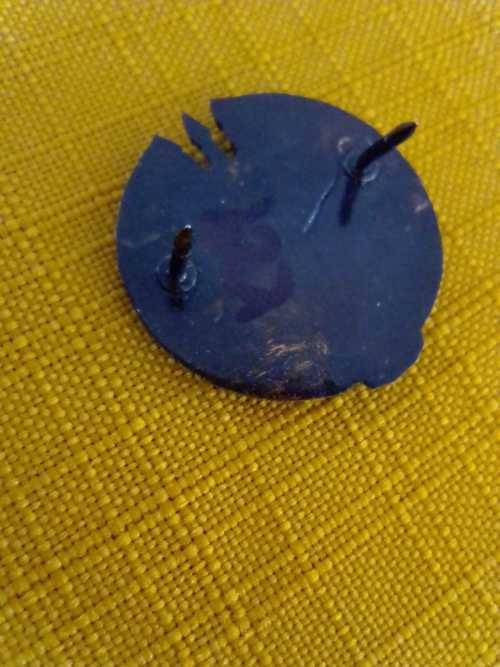 SADF RECCE ATTACK DIVERS BADGE - bronze
