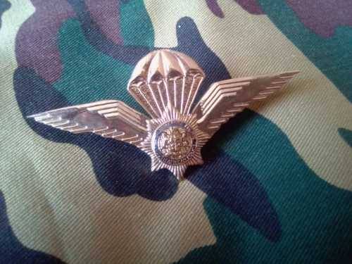 SADF  - SAP TASK FORCE PARACHUTE WING - FULL SIZE