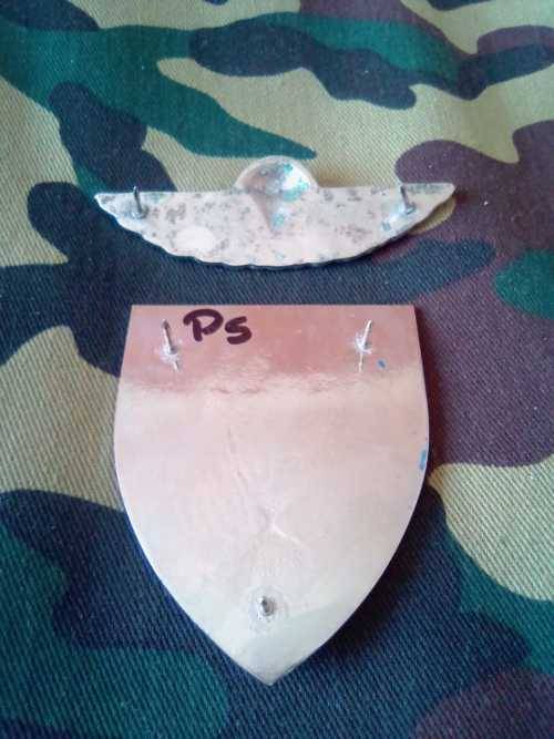 SADF 101 AIR SUPPLY  COMPANY SHOULDER FLASH AND WING - SET
