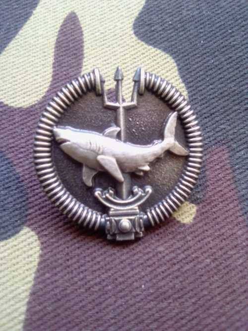 SADF RECCE ATTACK DIVERS MESS DRESS BADGE - oxidized- SILVER