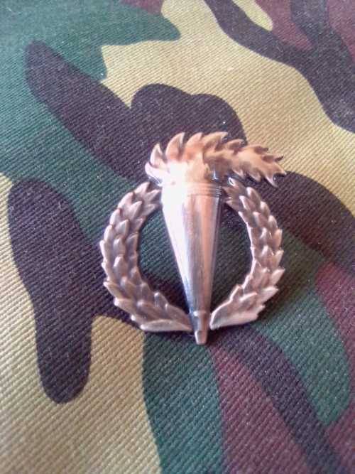 SADF PATHFINDER BREAST BADGE
