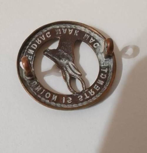 SADF INFANTRY  UNION IS STRENGTH/ EENDRAG MAAK MAG COLLAR/ CAP   BADGE