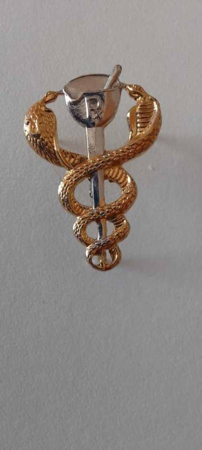 SADF / SA ARMY/ SAMS medical  PHARMACIST BI-METAL BREAST BADGE  --- with pins **