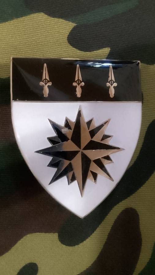 SADF/ SA ARMY 1 RECCE  SHOULDER FLASH  - - WITH PINS