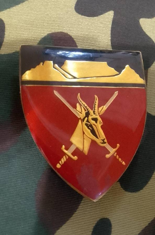 SADF/ SA ARMY WP COMMAND HQ SHOULDER FLASH ---WITH PINS