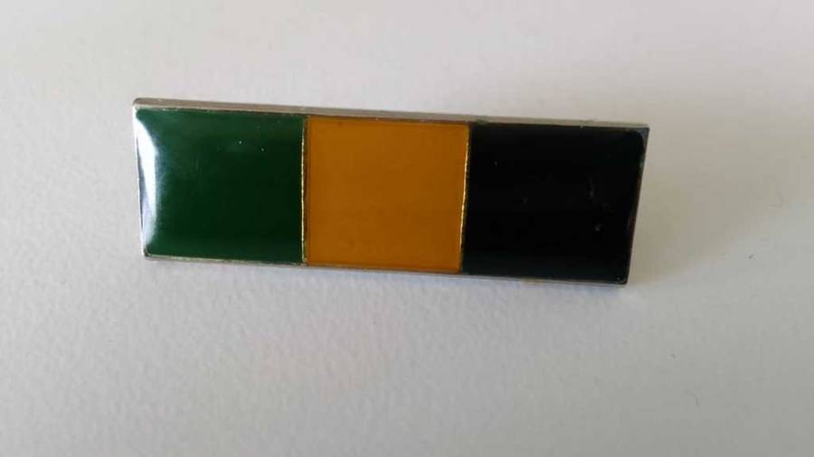 SADF/ SA ARMY  INFANTRY BERET BALKIE - WITH PINS