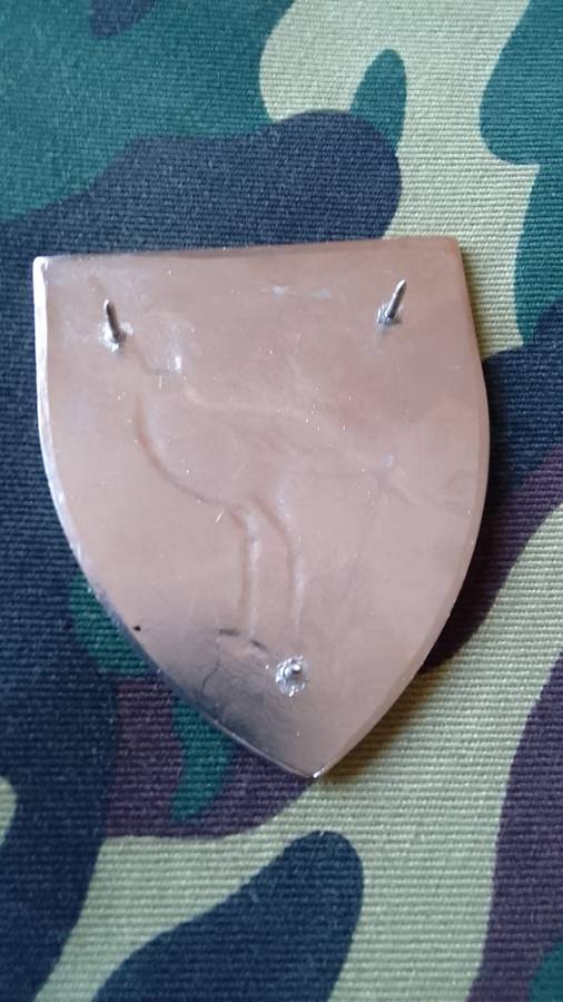 SADF/SA ARMY  STORMBERG  COMMANDO SHOULDER FLASH - WITH PINS