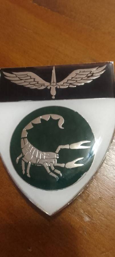 SADF / SA ARMY  2 RECCE COMMANDO SHOULDER FLASH - WITH PINS