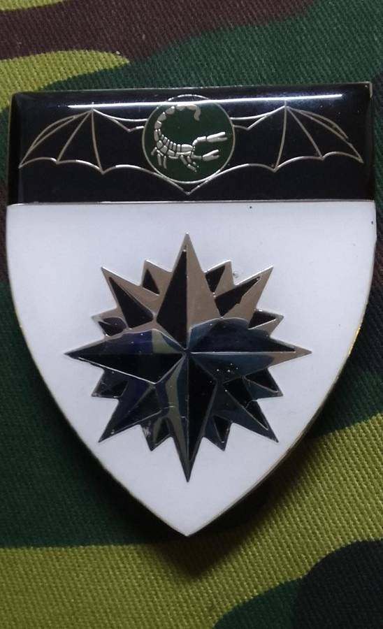 SADF /SA ARMY 2 RECCE REGIMENT SHOULDER FLASH - WITH PINS -