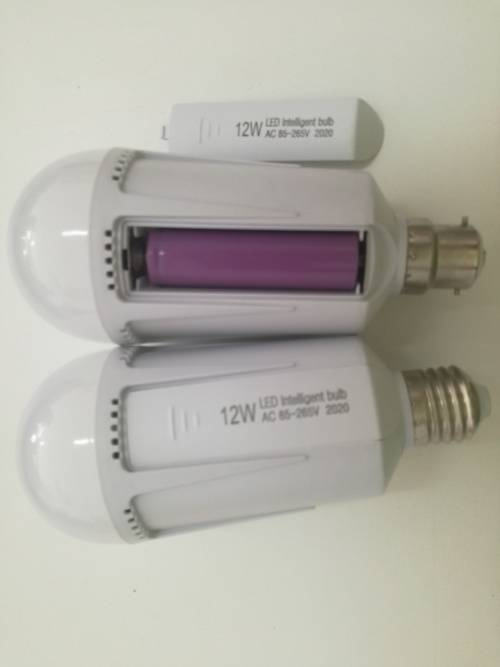 Rechargeable lightbulb with removable battery