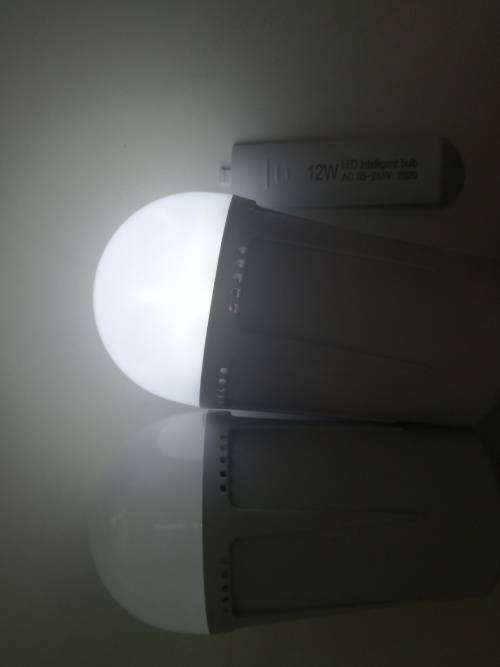 Rechargeable lightbulb with removable battery
