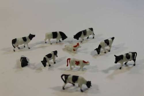10 x Cows (HO)