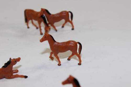10 x Horses