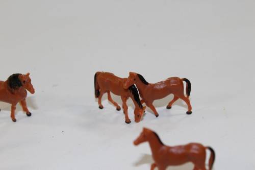 10 x Horses