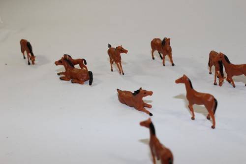 10 x Horses
