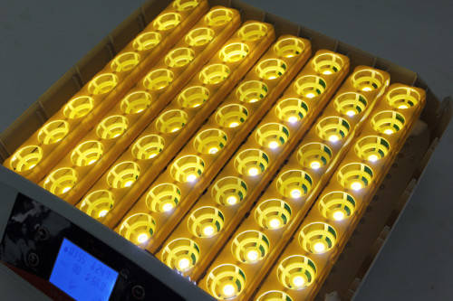 56 Egg Automatic Incubator - LOCAL STOCK
