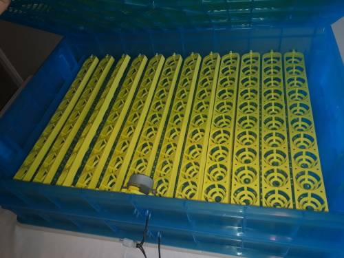 360 Egg Automatic Incubator - LOCAL STOCK