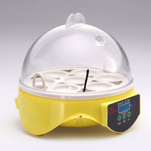 7 Egg Incubator - LOCAL STOCK