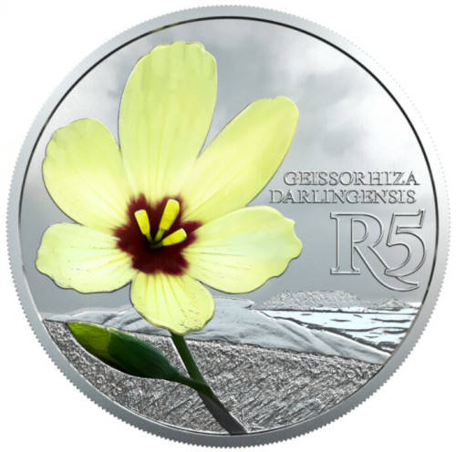 2017 Colored R5 - Yellow Wine Cup (Sealed)