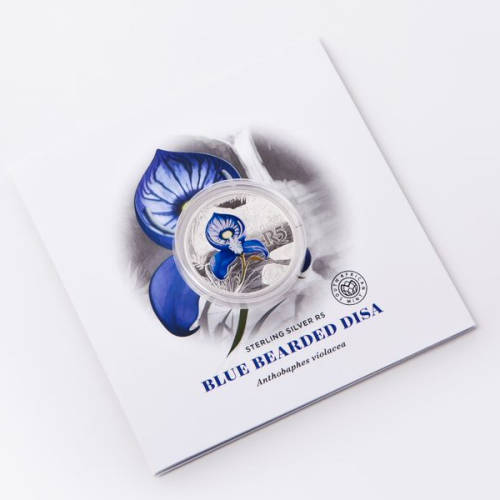 2016 Colored Silver R5 - Blue Bearded Disa - Sealed