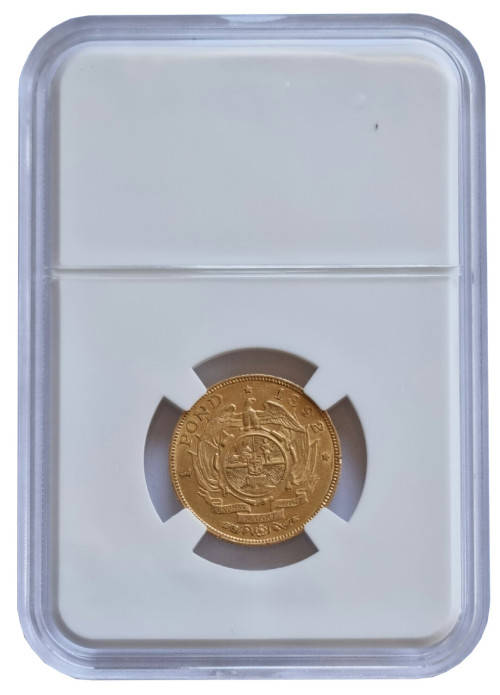 *ZAR Gold* 1892 Pond Double Shaft