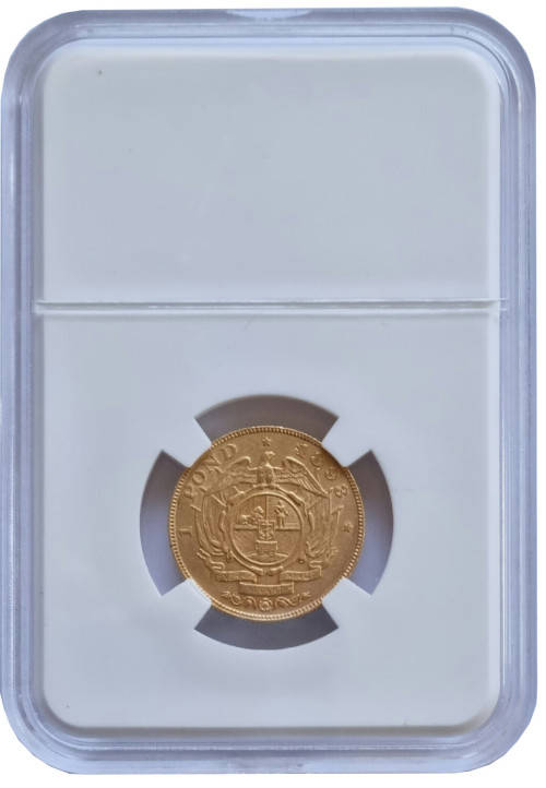 *ZAR Gold* 1893 Pond