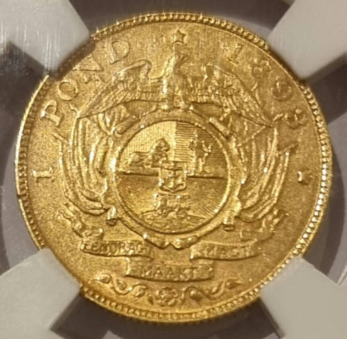 *ZAR Gold* 1893 Pond