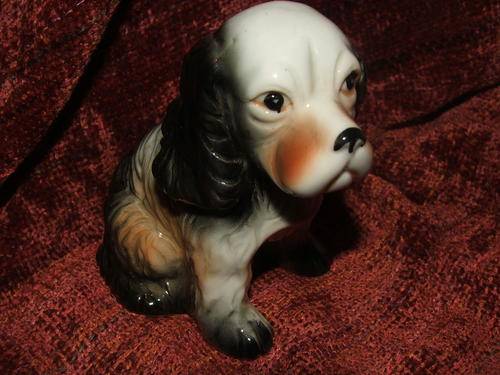 SMALL DOG