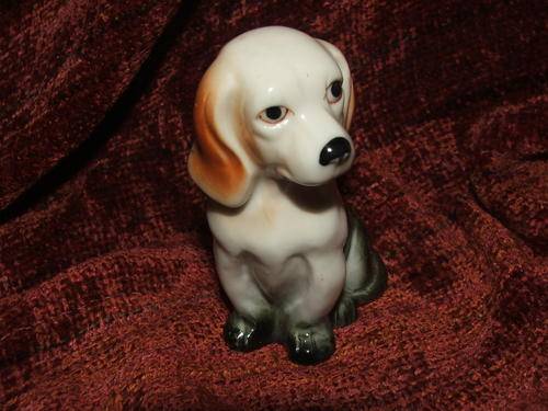 SMALL DOG