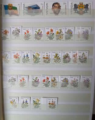 Venda 1979-86 singles in 8pg Stockbook (album included) MM & UM